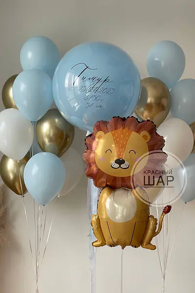 Набор на выписку №20