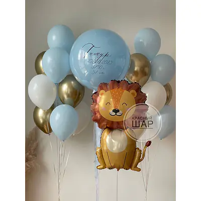 Набор на выписку №20